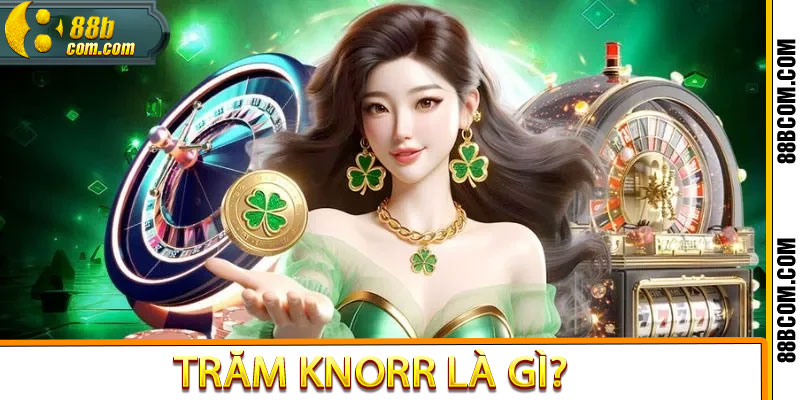 Trăm Knorr Là Gì? Nguồn Gốc, Ý Nghĩa Và Hiện Tượng Mạng