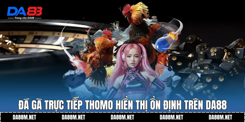 Đá Gà Trực Tiếp Thomo Trải Nghiệm Ổn Định trên DA88