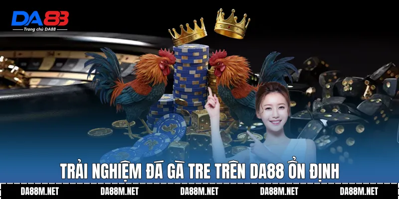 Đá Gà Tre DA88 - Nền Tảng Theo Dõi Có Chiều Sâu